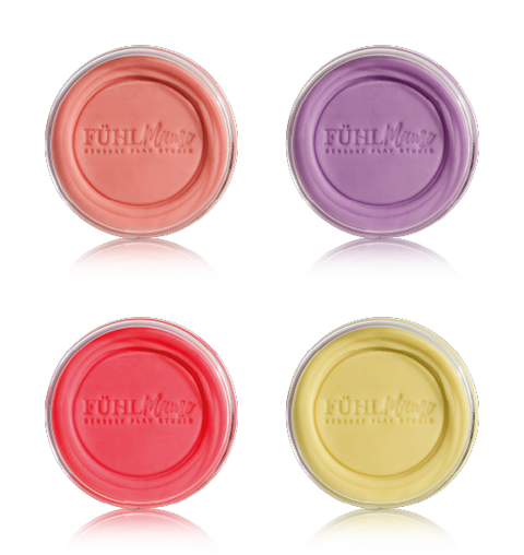 Fühlmäuse Knetset - Themenbox